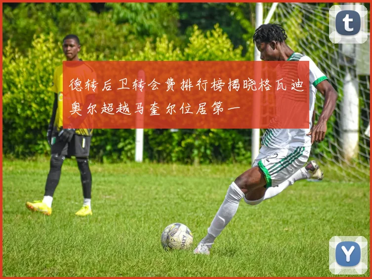 德转后卫转会费排行榜揭晓格瓦迪奥尔超越马奎尔位居第一
